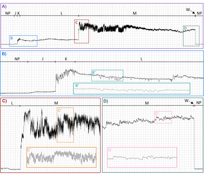 Experimental graph analysis; multiple data plots, signal variations, transient analysis, comparative results.