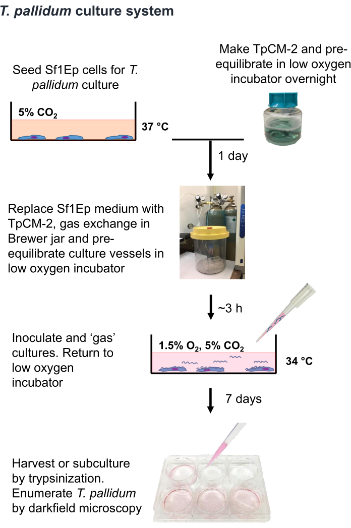 figure-results-1
