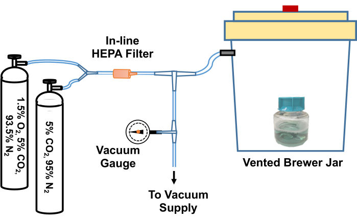 figure-results-2