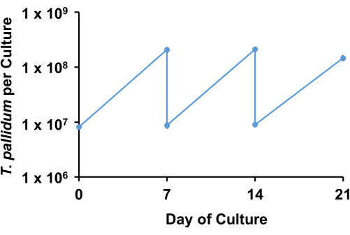 figure-results-4