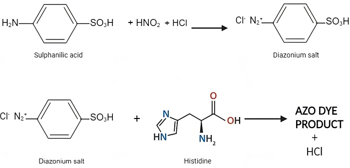 Azo dye synthesis diagram with sulphanilic acid, diazonium salt, histidine, and product formation.