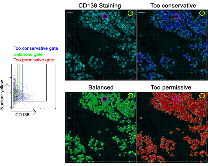 CD138 staining analysis; flow cytometry gating; balanced vs. conservative and permissive gates.