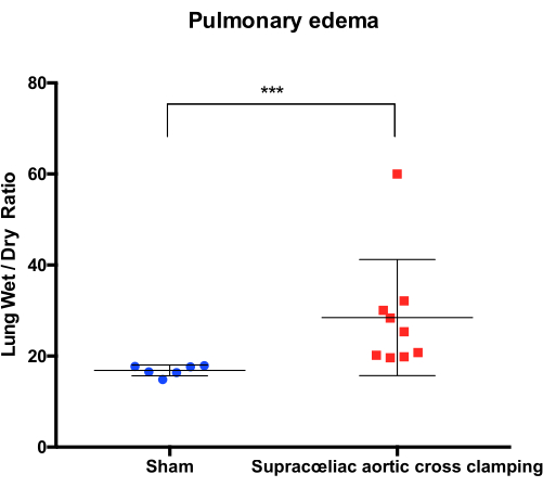 pulmonary edema lung wet/dry ratio graph; supracoeliac aortic clamping vs. sham; data analysis