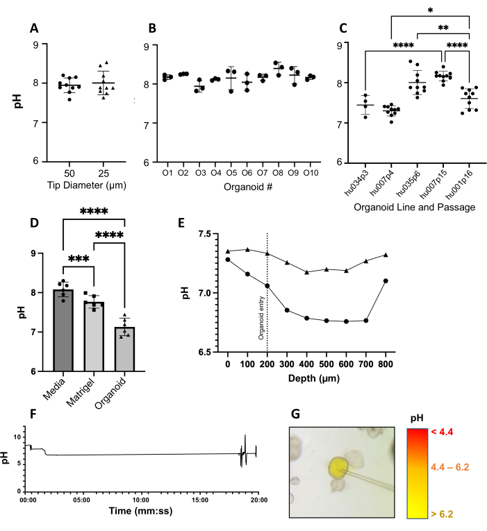 figure-results-2 Graphs of pH variation in organoid experiments with media comparison and depth analysis.