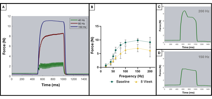 Muscle force-frequency response; graphs comparing force (N) over time (ms) at various frequencies (Hz).
