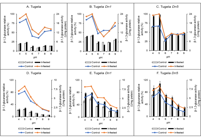 figure-results-3 β-1,3-glucanase activity vs pH graph; Tugela wheat varieties; control vs infested; data analysis.