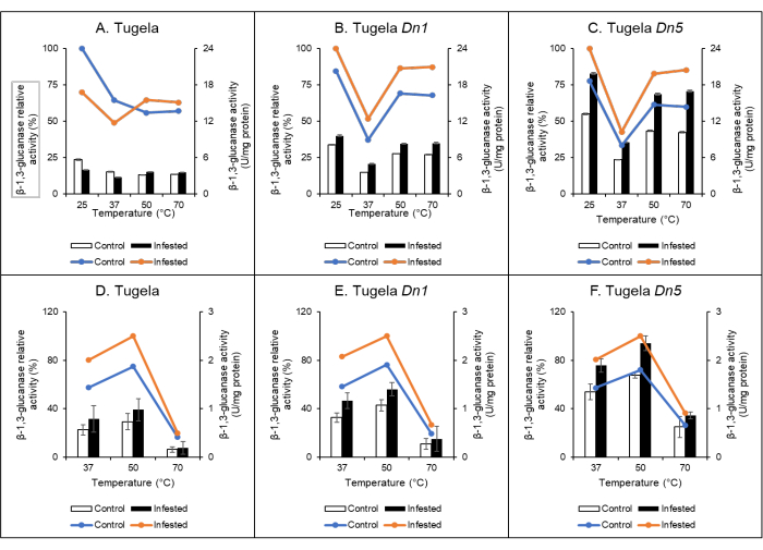 figure-results-4 β-1,3-glucanase activity graph in wheat, control vs infested, at varied temperatures.