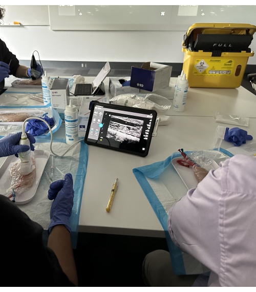 Ultrasound training setup with probe, gel, and screen display for medical imaging practice.