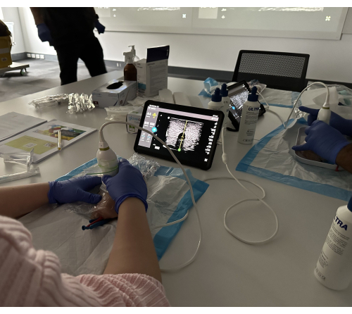 Ultrasound training, equipment, hands-on procedure, real-time imaging, medical education.