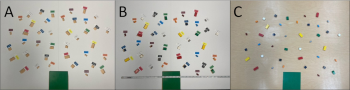 Color sorting experiment; static equilibrium diagram; object distribution analysis; result comparison.