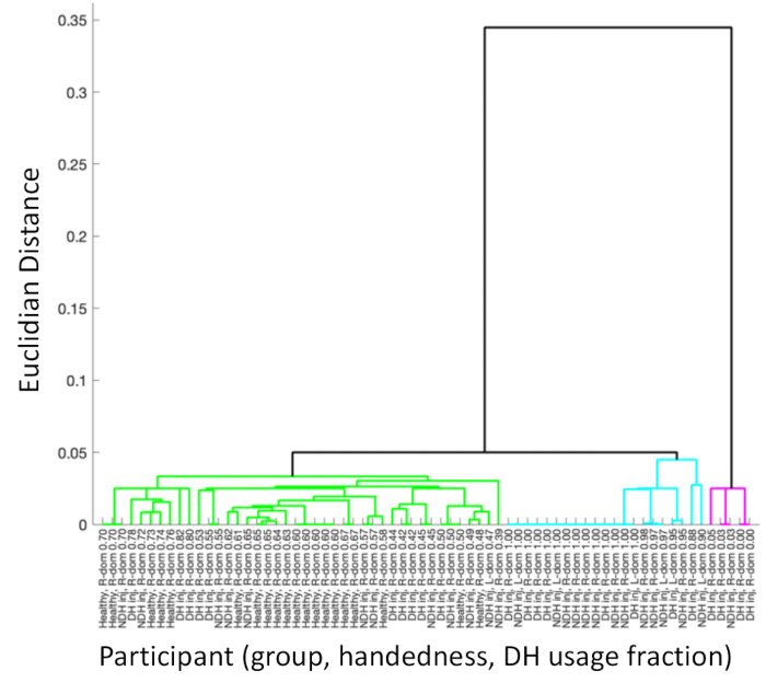 Hierarchical clustering dendrogram, Euclidean distance, participant handedness analysis.