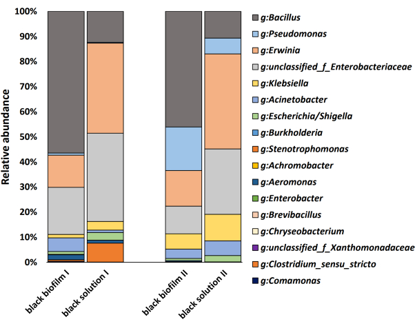 Bacterial community abundance bar chart; taxa comparison between biofilm and solution samples.