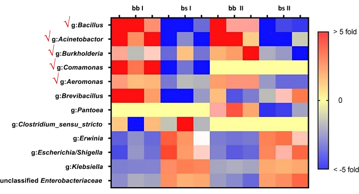 Heatmap showing bacterial genus abundance with color scale, representing fold change data analysis.