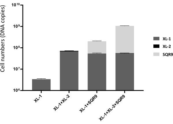 Bar chart of cell numbers showing DNA copies in XL-1, XL-2, SQR9 experiment.