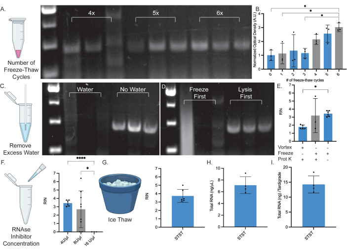 figure-results-1 figure-results-1