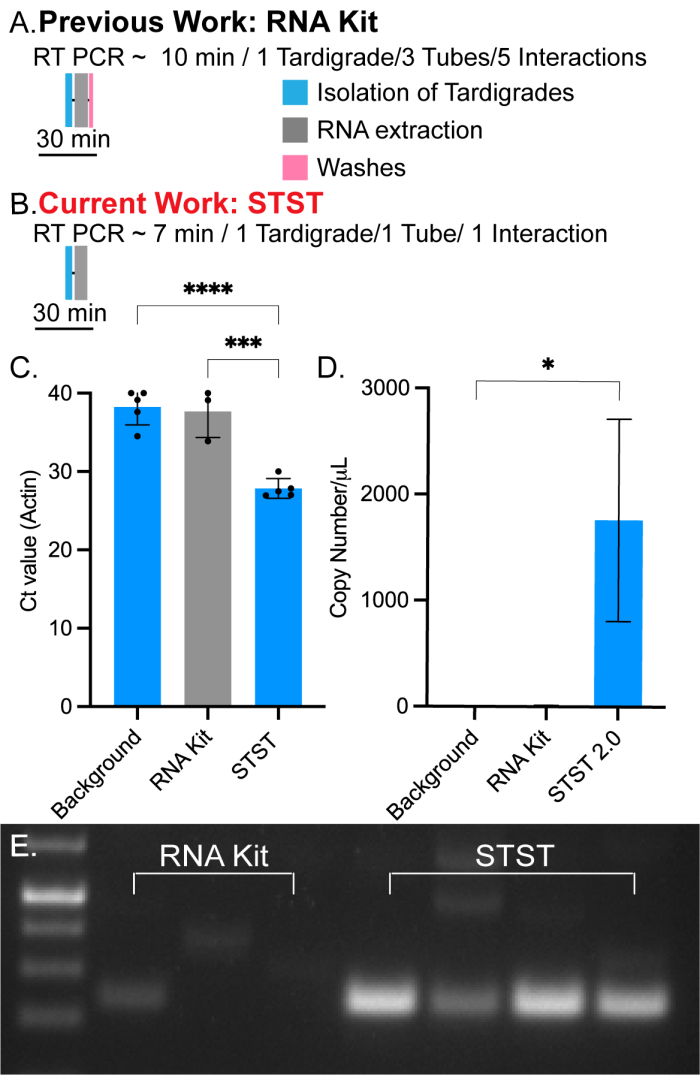 figure-results-2 figure-results-2