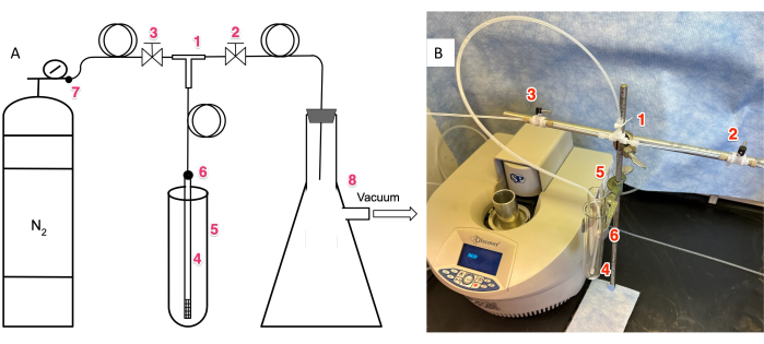 Nitrogen-sparging setup diagram and experiment for degassing solvents; vacuum system included.