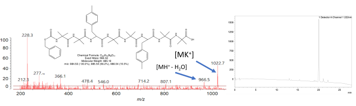 Mass spectrometry analysis diagram showcasing chemical structure, m/z peaks, and ion identification.