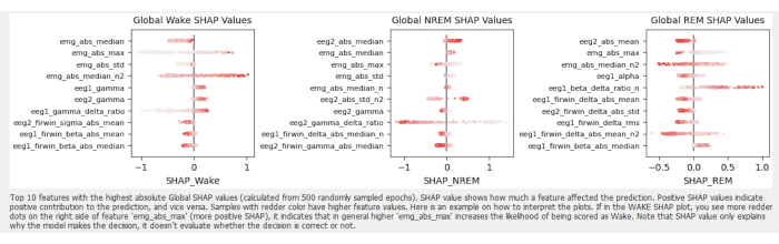 Global SHAP value plots for wake, NREM, REM; visualizes feature impact on sleep prediction model.
