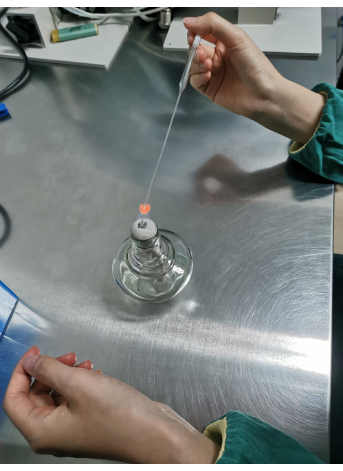 figure-results-1 Sterile technique demonstration, inoculating loop sterilization in microbiology lab setup.