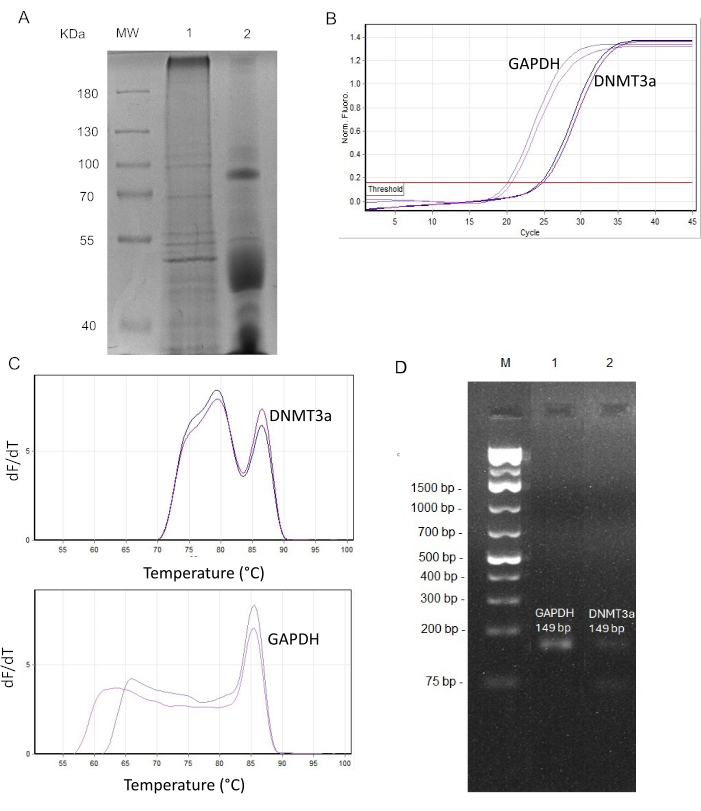 figure-results-2