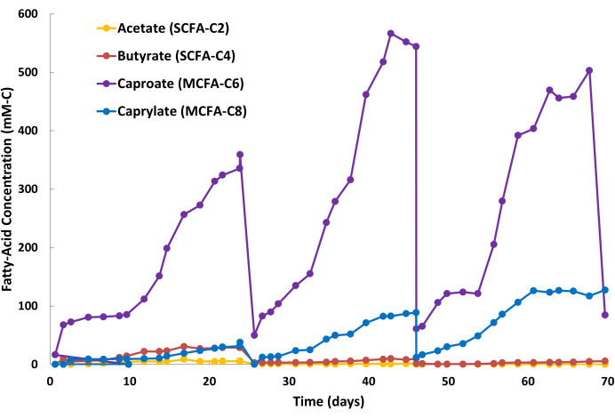 Fatty acid production over time chart with acetate, butyrate, caproate, and caprylate concentration data.