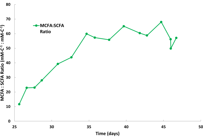 MCFA:SCFA ratio graph, showing change over time (days) in metabolic study data analysis.