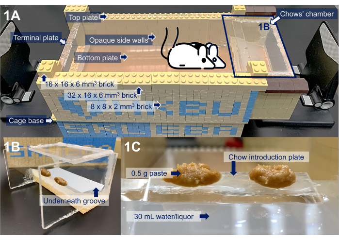 Mouse feeding behavior setup using modular LEGO bricks, chow chamber, and liquid paste experiment.