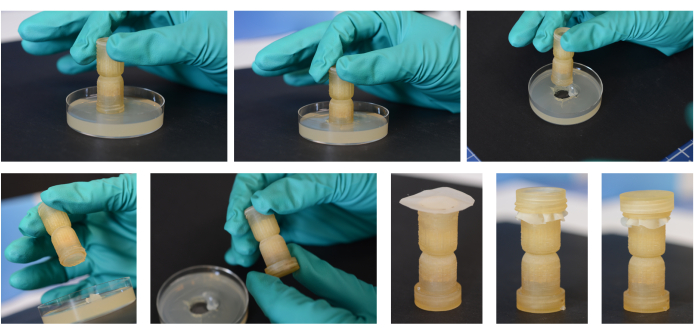 figure-protocol-2 Sequential mold casting process diagram with silicone model and petri dish in laboratory.
