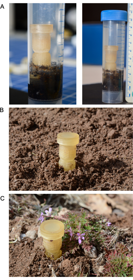 figure-results-1 Soil moisture measurement setup; tube in soil; soil water testing method; experimental method.