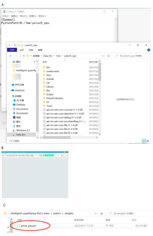 YOLOv5 setup process, file directory exploration, model file selection, system path configuration.
