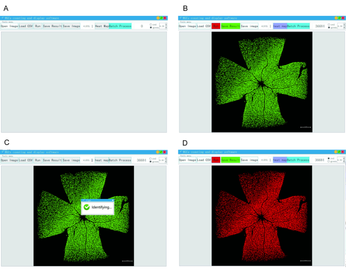 Segmentation process, leaf scan; diagram A-D; software analysis stages; green to red color change.