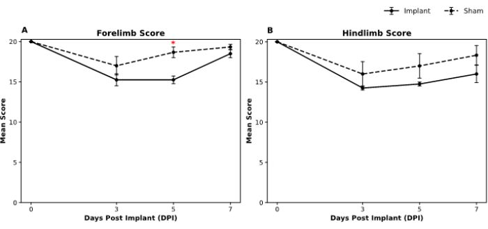 figure-results-5 Forelimb and hindlimb score graphs, implant vs sham, post-implant days, mean score comparison.