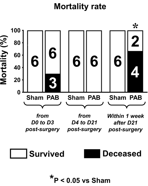 figure-results-6 Mortality rate chart; bar graph shows survival post-surgery; significance P<0.05; statistical results.