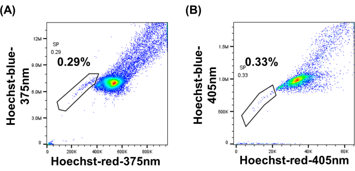 Flow cytometry dot plots, Hoechst staining, cell cycle analysis, fluorescence intensity distribution.
