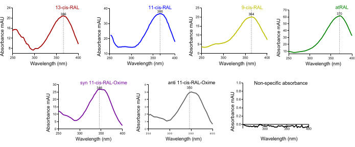 Absorbance spectra of retinal isomers; graph; UV-Vis analysis; peaks labeled by isomer type.
