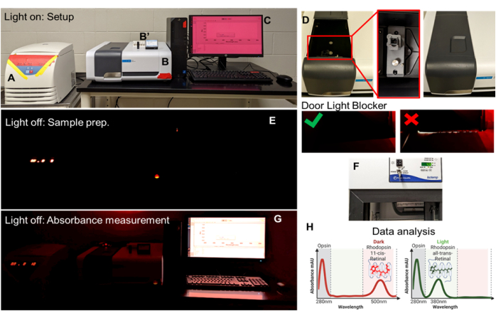 figure-results-4 Spectroscopy setup measuring optical absorbance, diagrams show data analysis in dark vs light conditions.