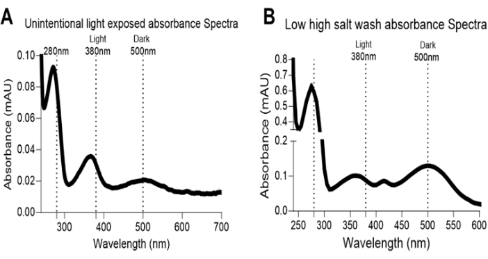 figure-results-7 absorbance spectra chart, light exposure and salt wash effects, wavelengths 250-700nm, spectral analysis