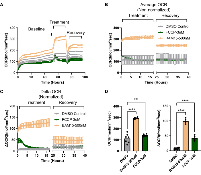 Oxygen consumption rates graphs; diagrams showcasing OCR changes post-treatment in FCCP/BAM15 assays.