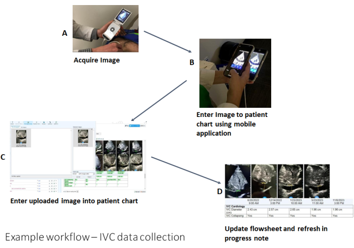 IVC data collection workflow diagram: image acquisition, mobile upload, chart entry, data update.