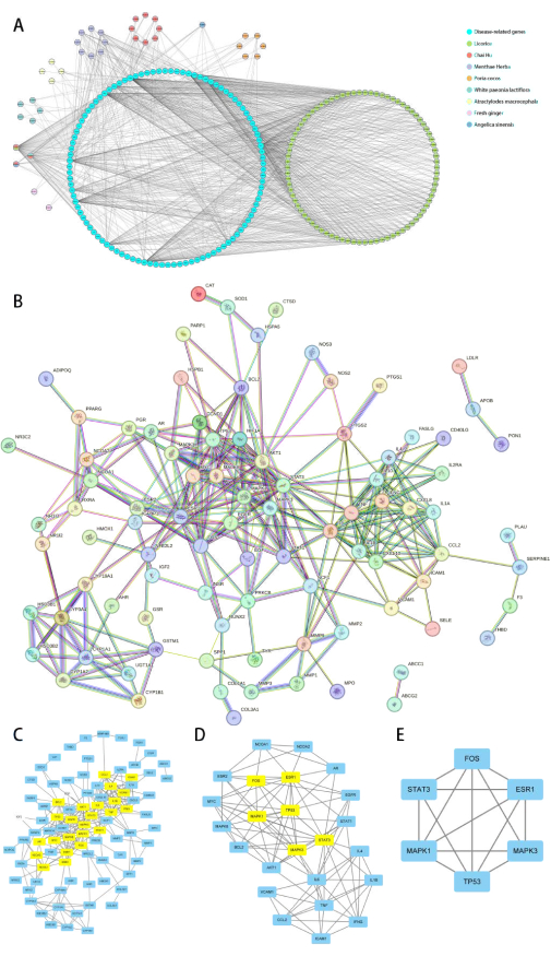 Biological network diagrams showing gene interaction, disease-related gene mapping, protein link analysis.