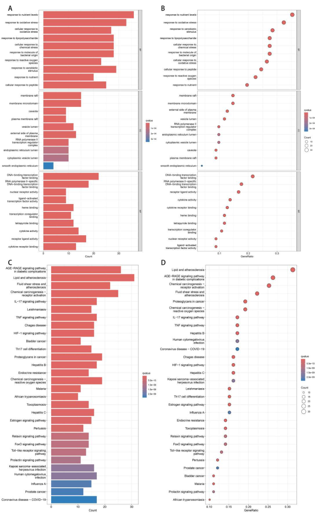 Gene enrichment analysis, bar and dot plots; gene ratio vs. count; p-value color scale.
