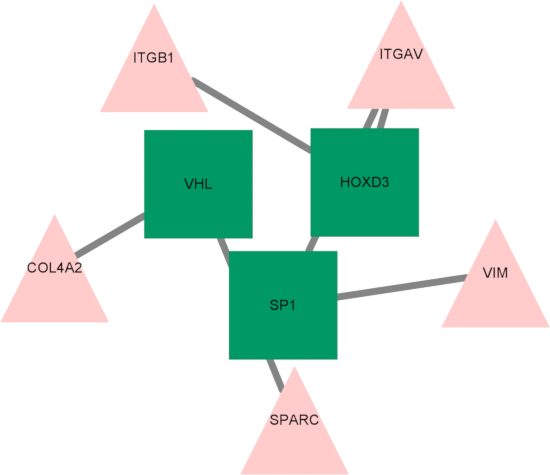 Gene network diagram; shows interactions between VHL, SP1, ITGB1, ITGAV, COL4A2, VIM, SPARC.
