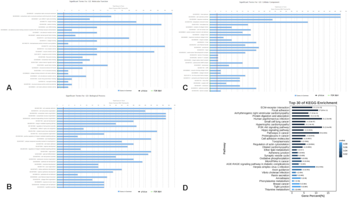 Gene ontology bar charts; biological processes/enrichment; data analysis; KEGG pathway results.