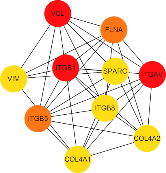 Protein interaction network diagram illustrating gene connections and relationships.