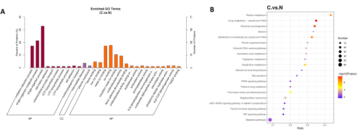Gene expression analysis; bar and bubble charts; enriched GO terms; metabolic pathway results.
