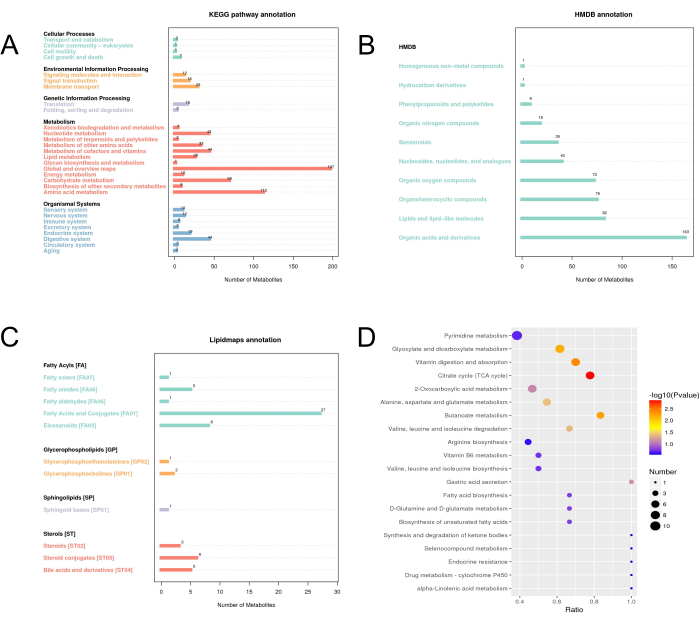 KEGG, HMDB, Lipidmaps pathway annotation charts; metabolite distribution and analysis results.