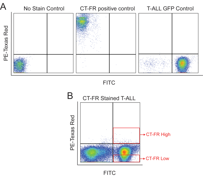 Flow cytometry analysis, CT-FR staining, T-ALL detection, comparing controls, PE-Texas Red vs FITC.