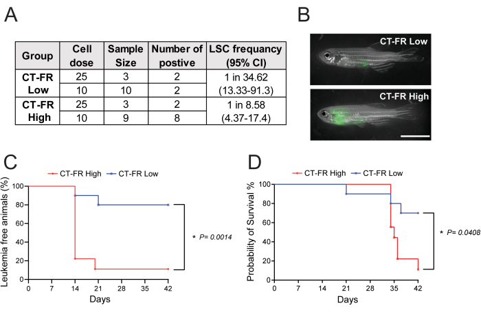 Leukemia study data and zebrafish fluorescent imaging for survival and frequency analysis.