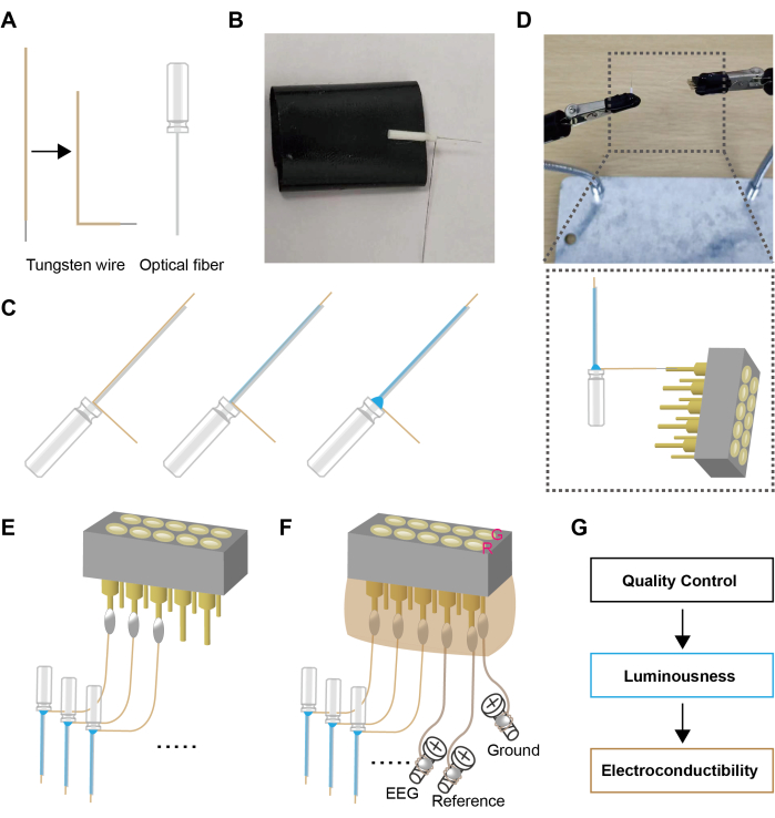 Tungsten wire-optical fiber setup, diagram and photo, EEG experiment, quality control flowchart.